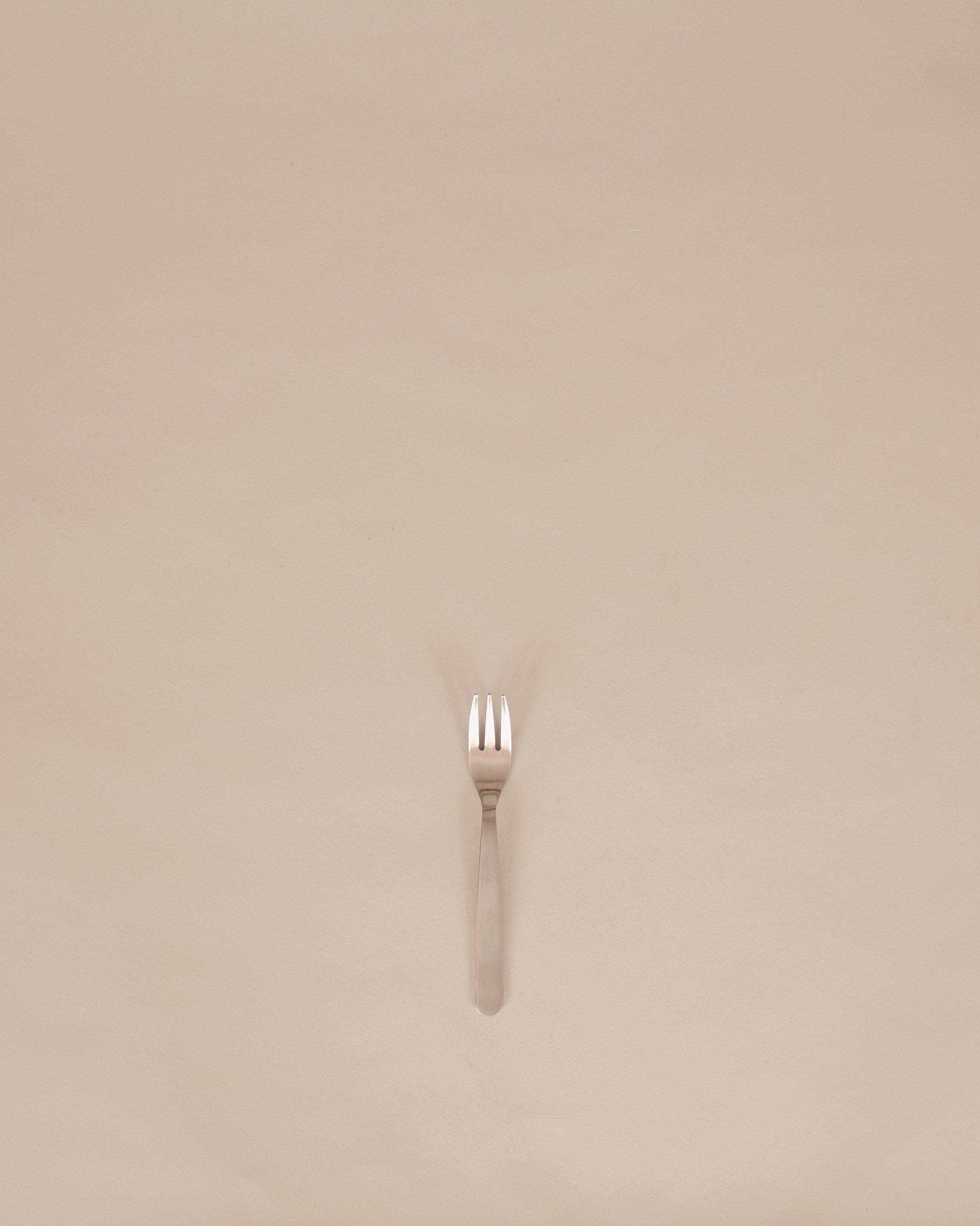 Japanese Stainless Steel Flatware - GOOD FRIEND