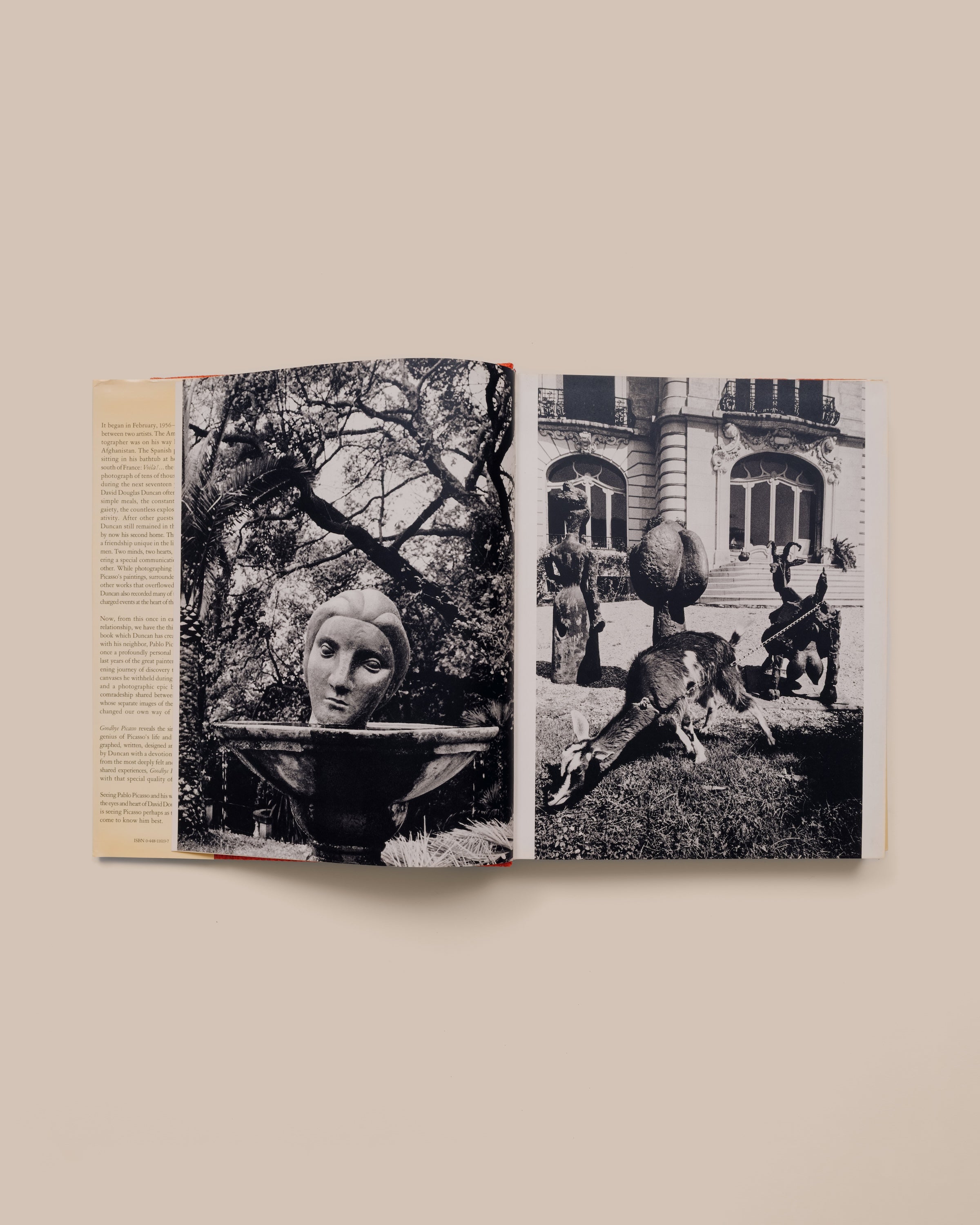 Goodbye Picasso - David Douglas Duncan // pending details - GOOD FRIEND