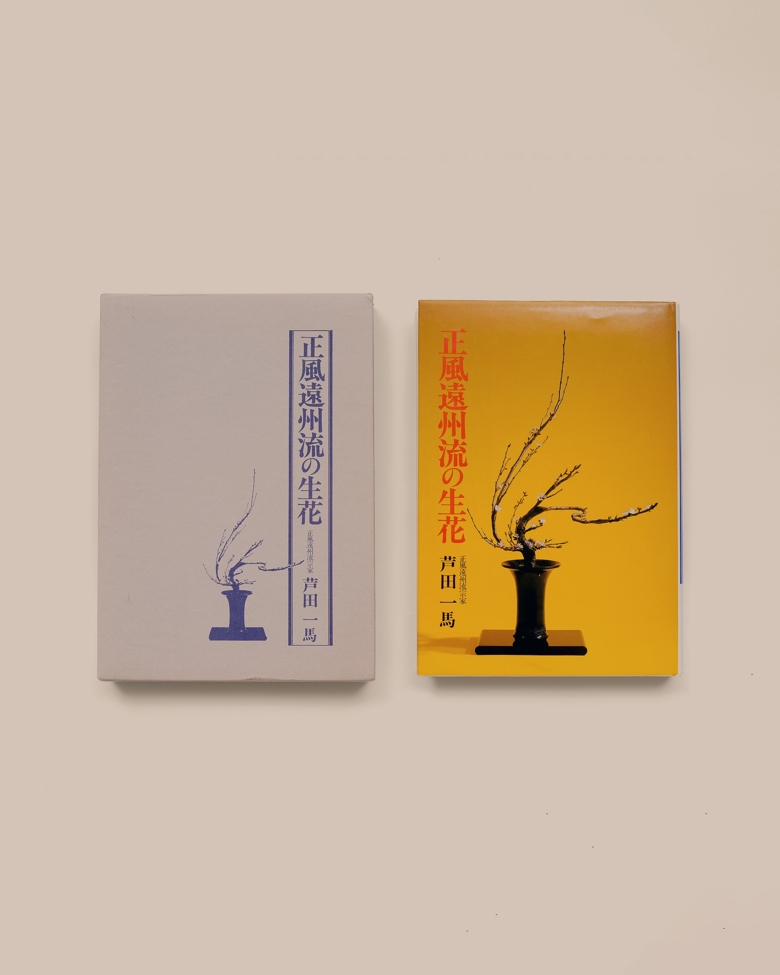 Seifu Enshu Style Ikebana - Kazuma Ashida - GOOD FRIEND