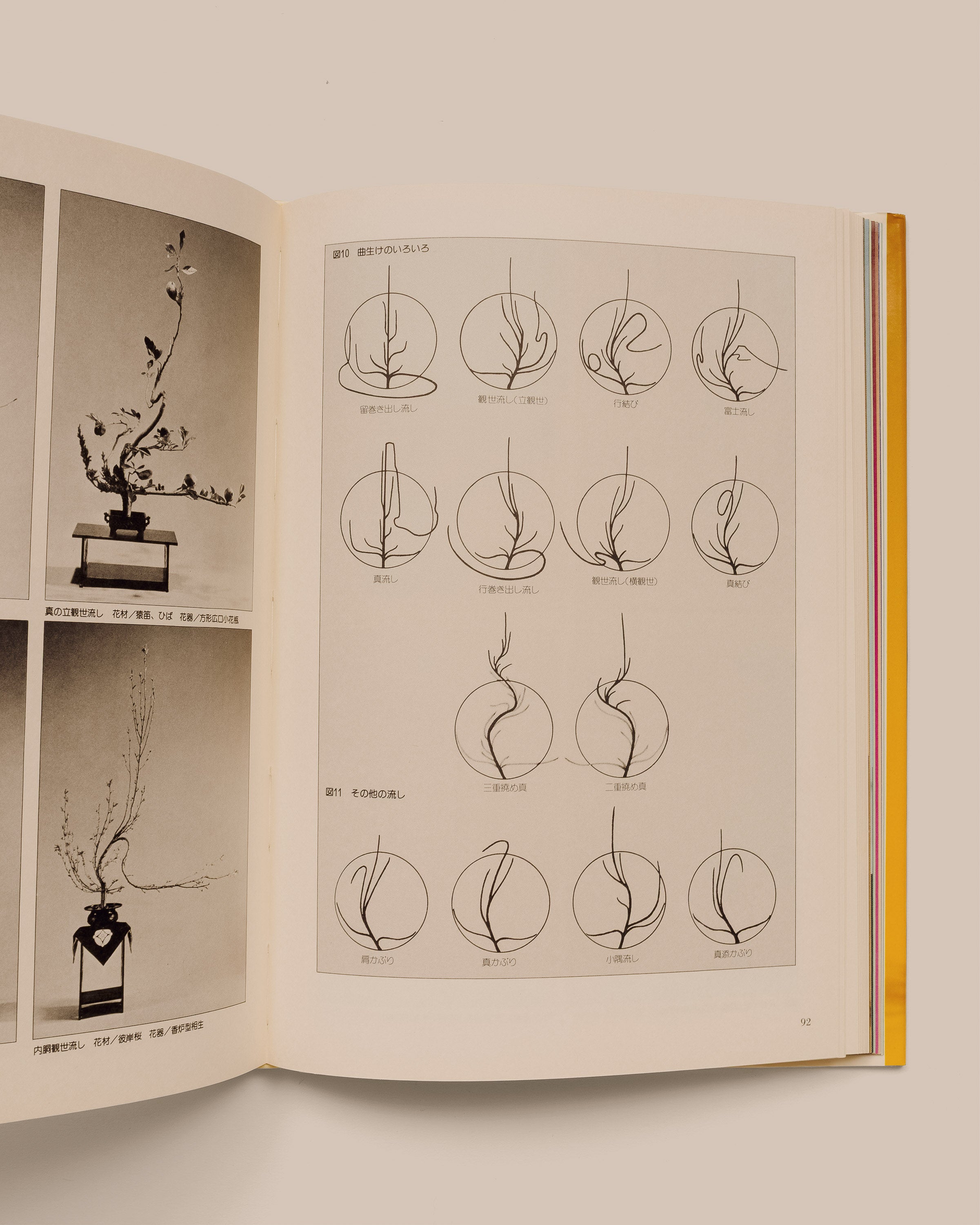 Seifu Enshu Style Ikebana - Kazuma Ashida - GOOD FRIEND