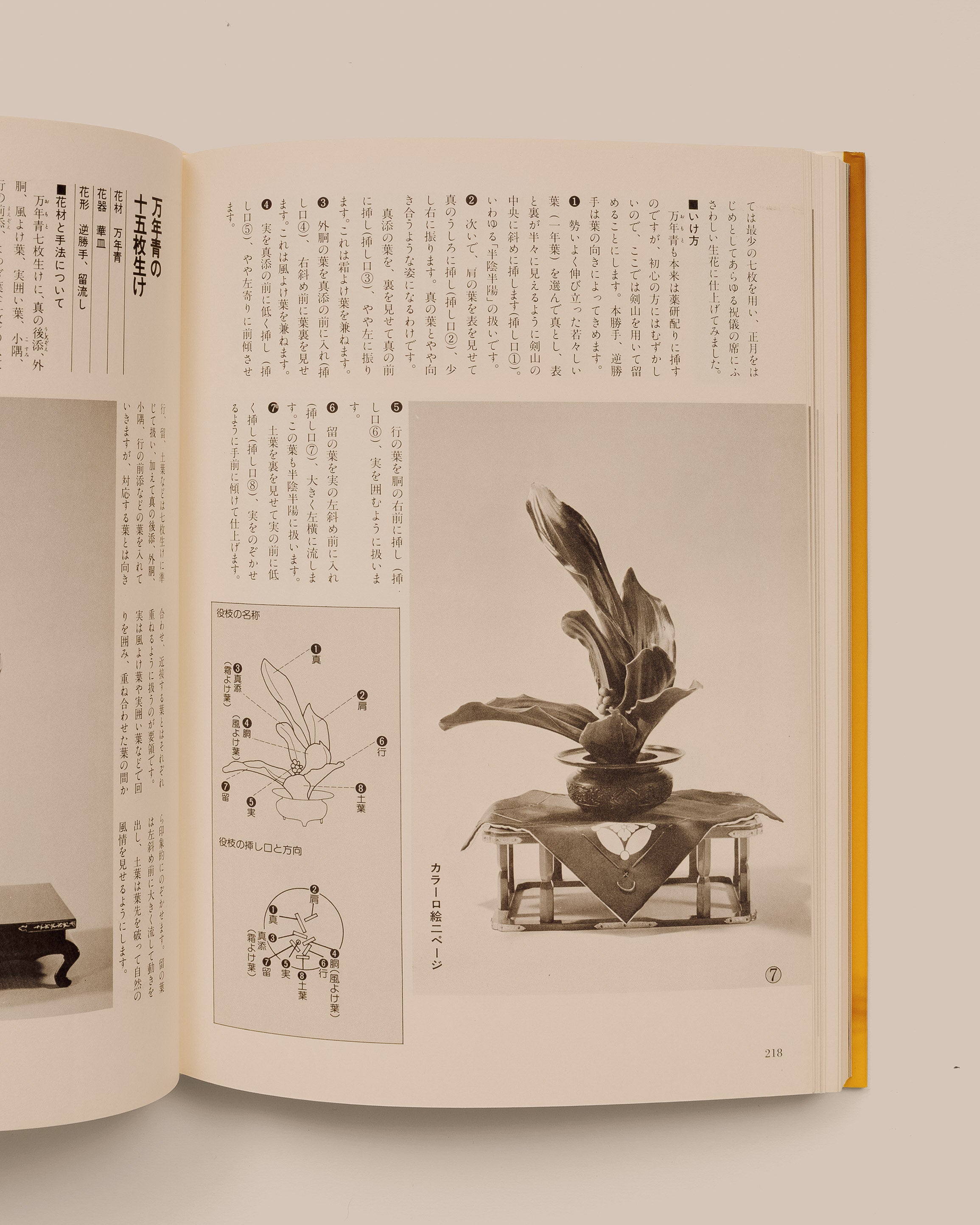 Seifu Enshu Style Ikebana - Kazuma Ashida - GOOD FRIEND