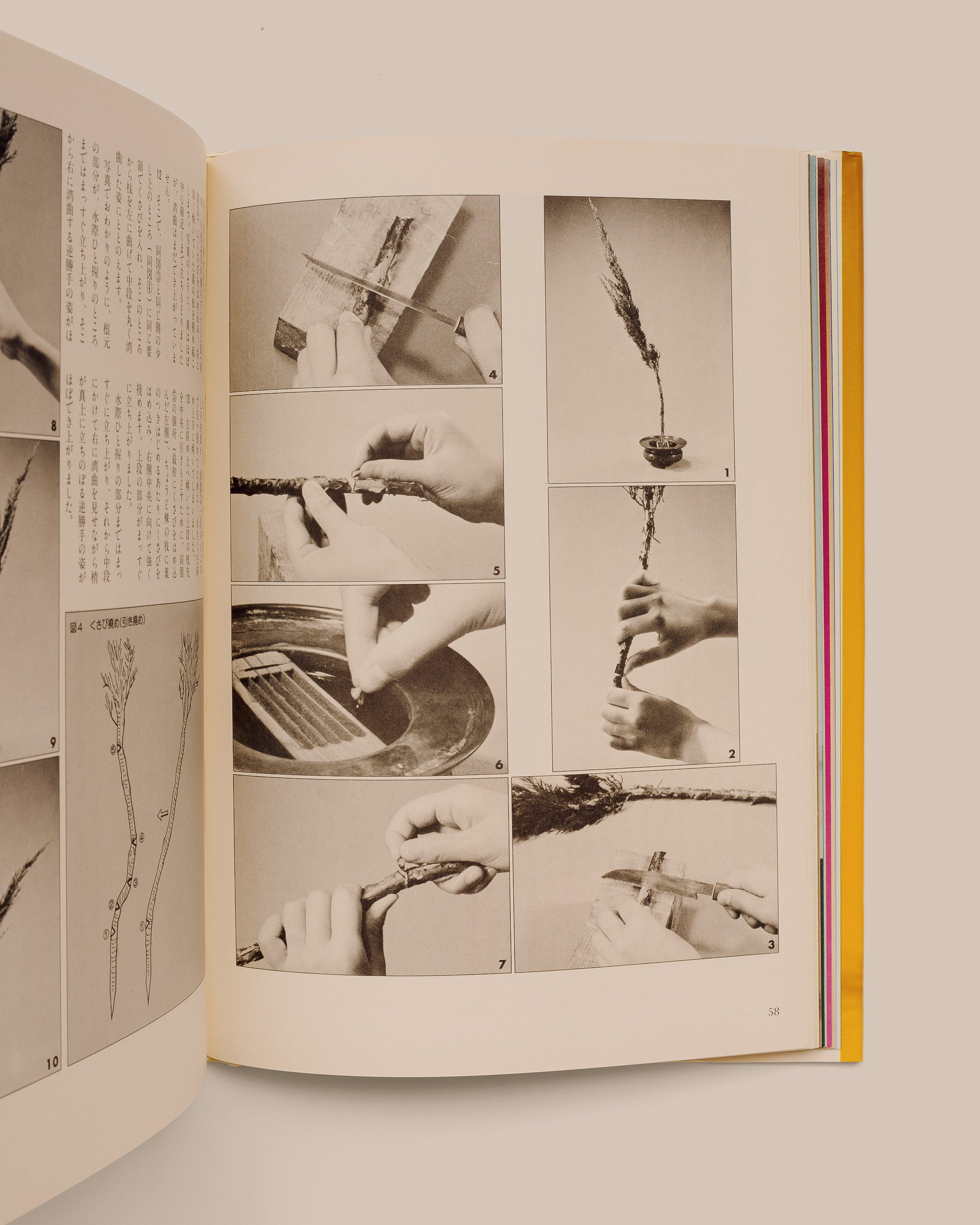 Seifu Enshu Style Ikebana - Kazuma Ashida - GOOD FRIEND