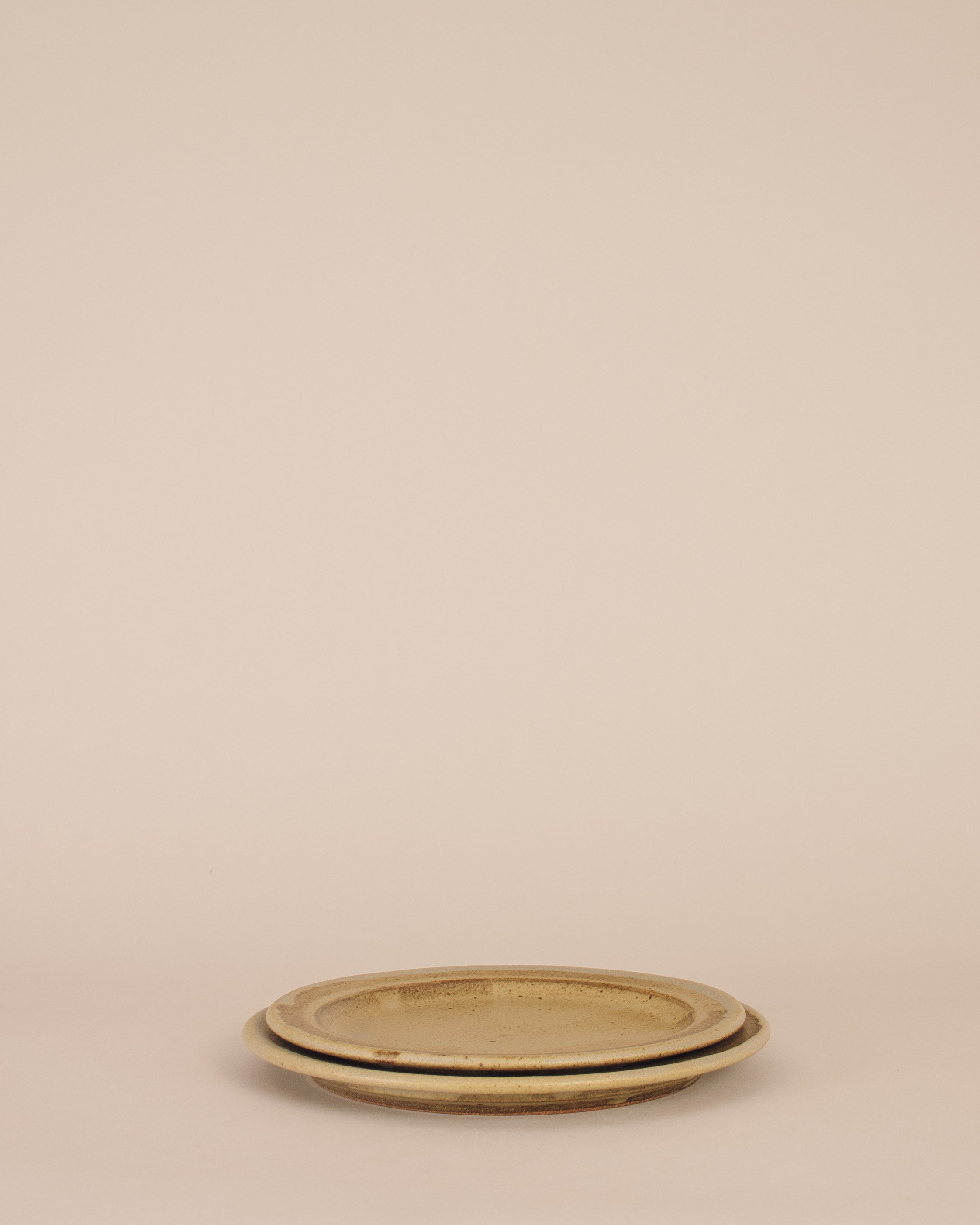 Rimmed Dinner Plate in Lichen - GOOD FRIEND